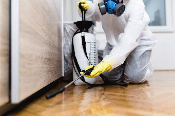 Best Local Pest Control Services  in Meridian, TX