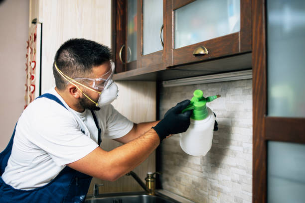 Best Best Pest Control Companies  in Meridian, TX