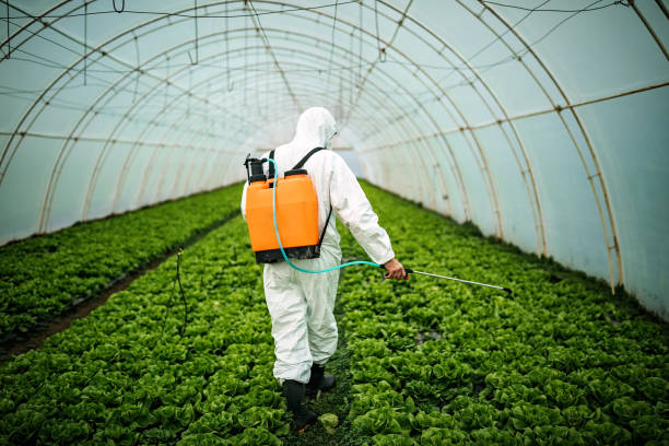 Best Mosquito Control Services  in Meridian, TX