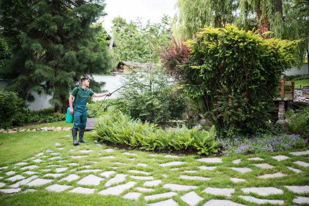 Best Pest Inspection Near Me  in Meridian, TX