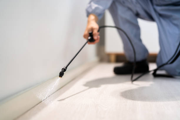 Best Affordable Pest Control Services  in Meridian, TX