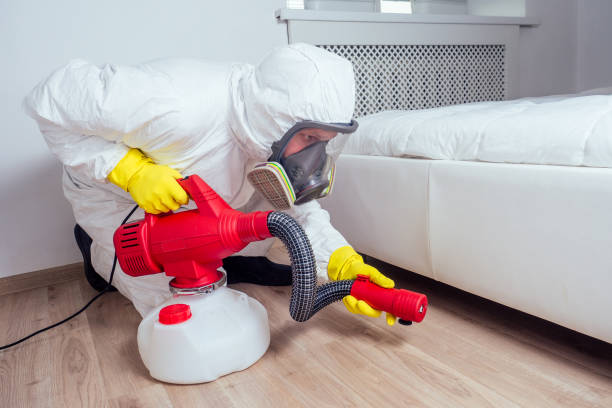 Best Pest Control Treatment  in Meridian, TX