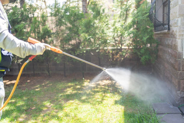 Best Wasp Removal Services  in Meridian, TX