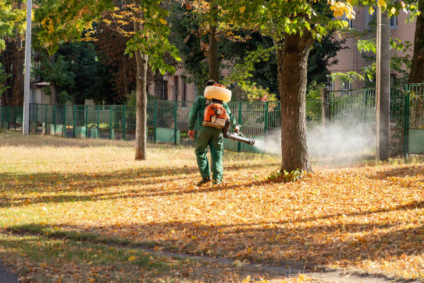 Best Pest Control for Businesses  in Meridian, TX