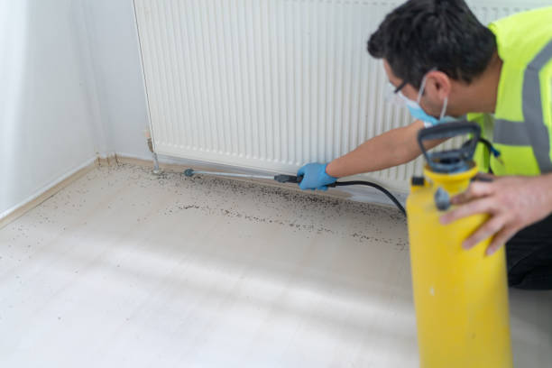 Reliable Meridian, TX Pest Control Solutions