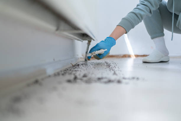 Best Emergency Pest Control  in Meridian, TX