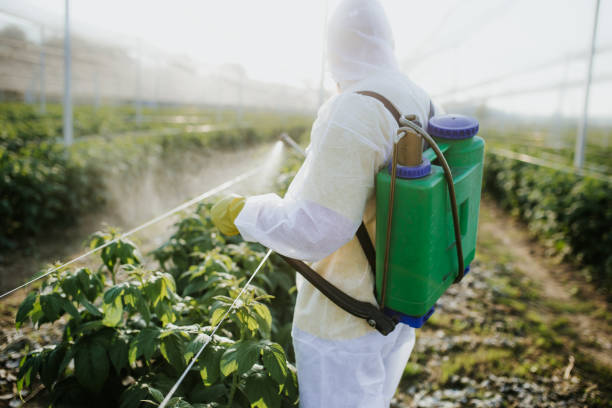 Best Wildlife Control Services  in Meridian, TX
